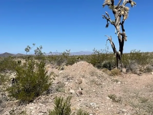 L-16 W Leonard Dr, Willow Beach, AZ 86445