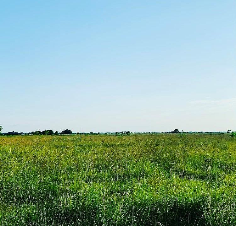22 Brumbelow Rd, Needville, TX 77461 MLS 61816329 Zillow