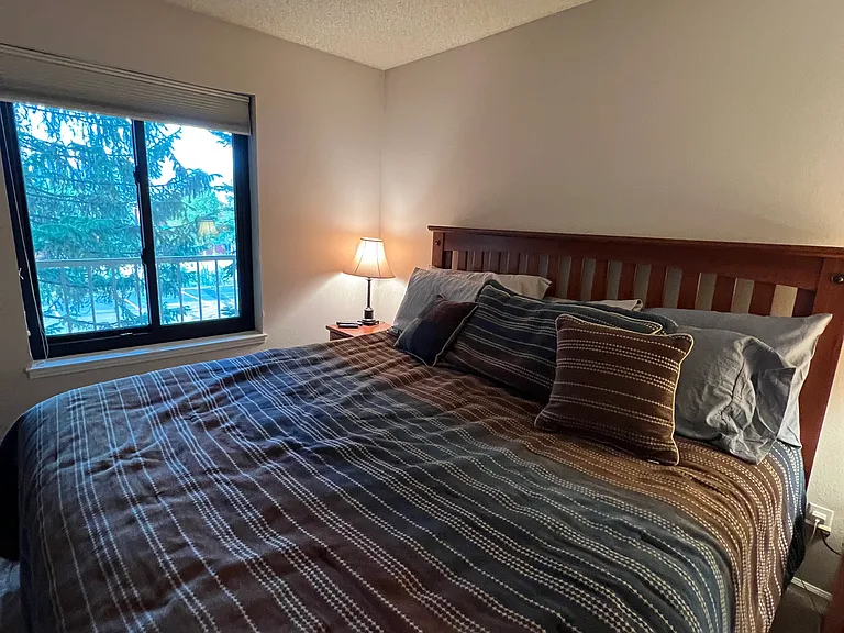 4827 Ryan Gulch Rd #4827 — Photo 43