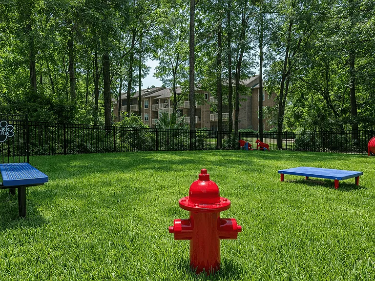 Parkland at Orange Park — Photo 7