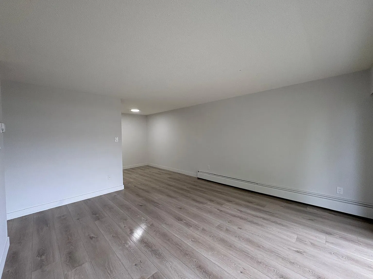 1 bed, 590 sqft, $1,600 — Photo 4