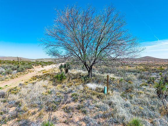 3rd image of Dave Head Loop