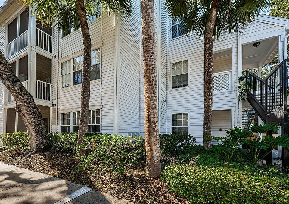 3321 Haviland Ct Palm Harbor, FL Zillow Apartments for Rent in Palm