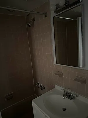 Rented by Eric Goodman Realty Corp | media 10