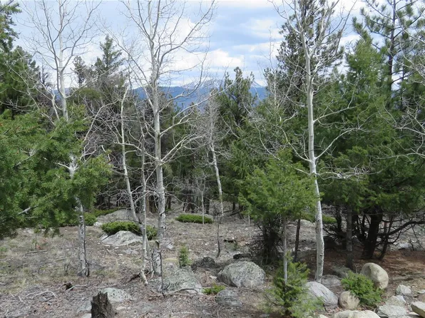30188 Eagles Ridge LOT 38, Buena Vista, CO 81211