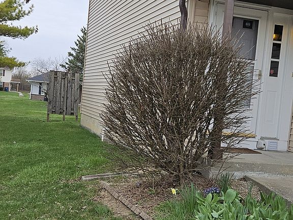 4th image of 10083 Dedham Dr