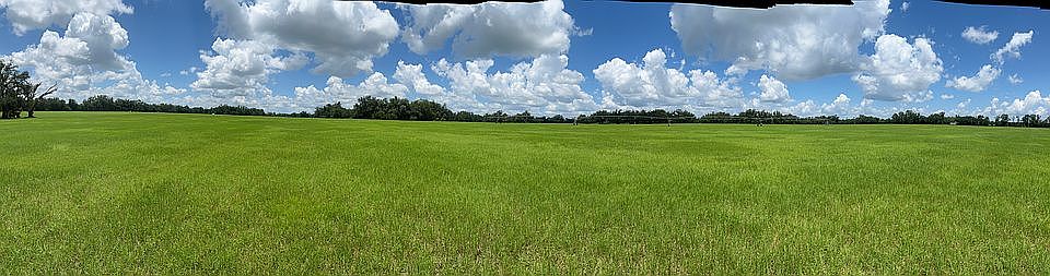 Farm View, ~80 Tillable Ac
