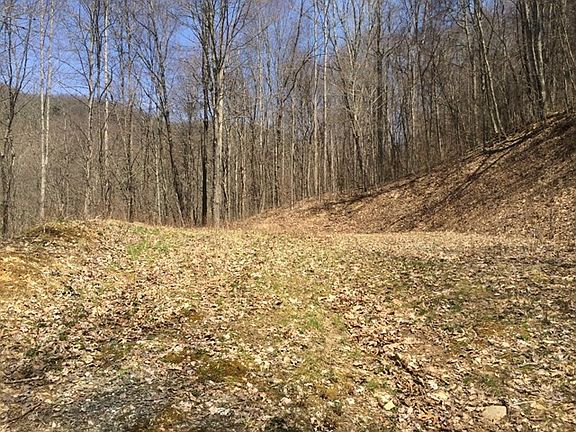 5th image of 20 Long Creek Ln