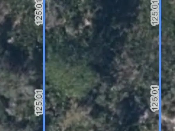 111 Boeing St NW, Lake Placid, FL 33852