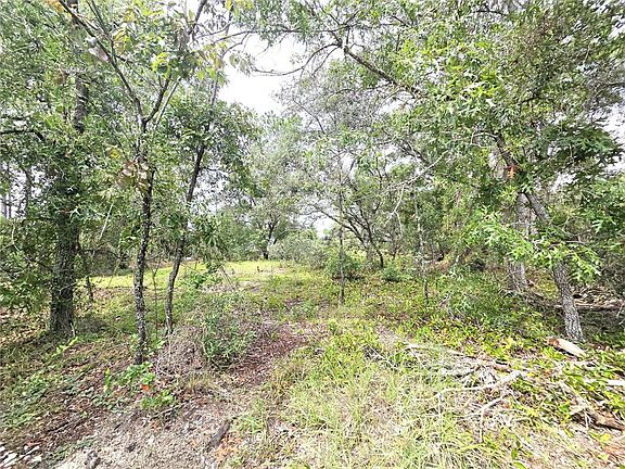 3rd image of 13106 SCOTTVILLE STREET LOT 1