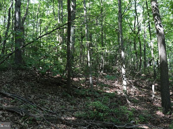 LOT 319 Ridge Run Rd, Claysburg, PA 16625