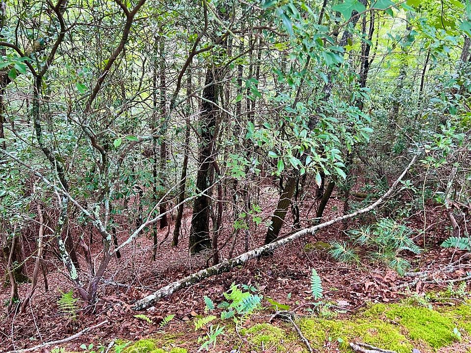 32 Nantahala Cir, Otto, NC 28763 MLS 26030755 Zillow