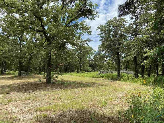4th image of 13721 County Road 4113