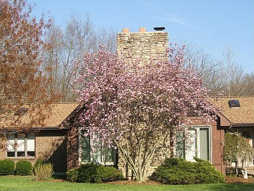 2nd image of 10720 Mockernut Dr