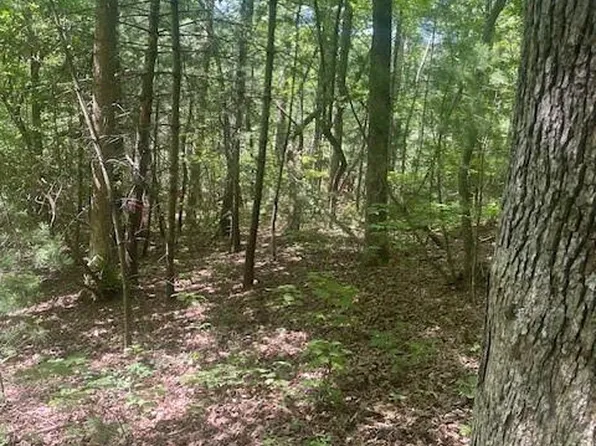 10 Copperhead Rd, Hendersonville, NC 28739