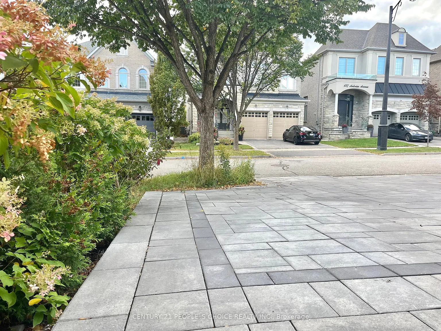 3 bed, $2,500 — Photo 3
