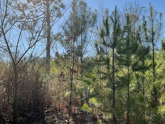 4th image of 0 County Rd