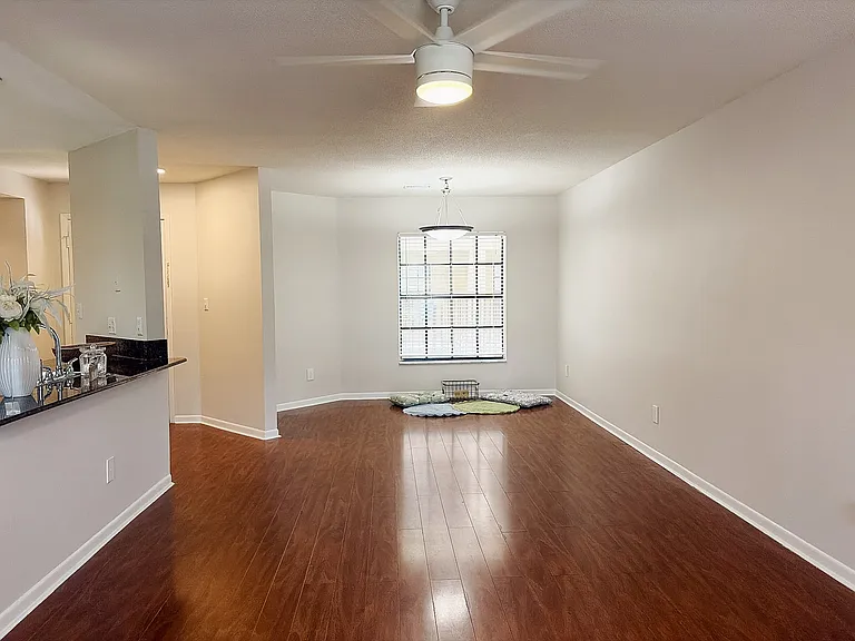 208 S Habana Ave #208B — Photo 7