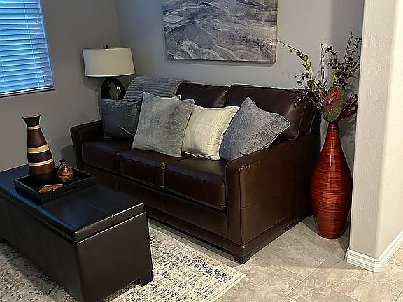Den with sofa sleeper