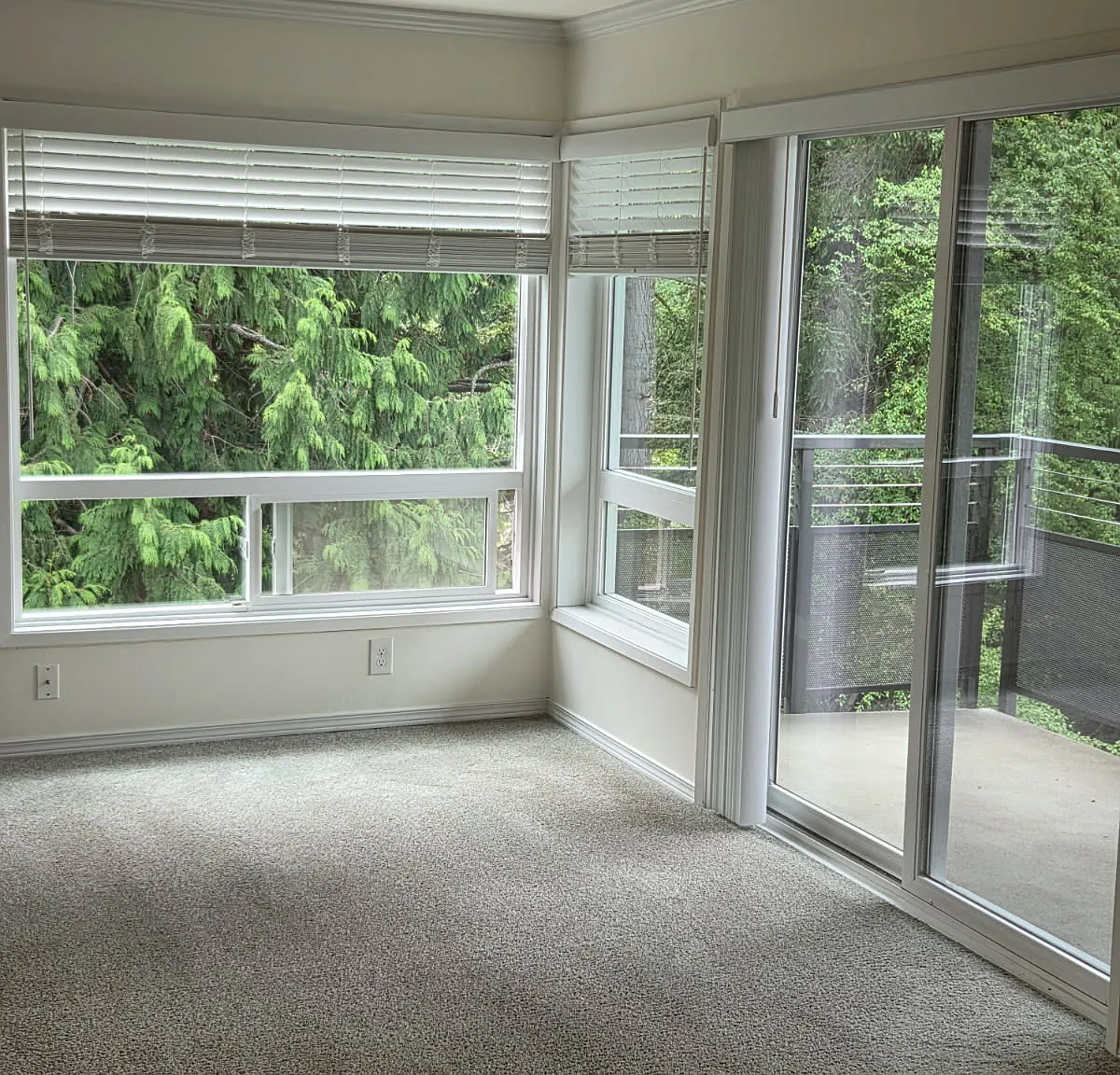 550 Elm Way — Photo 2