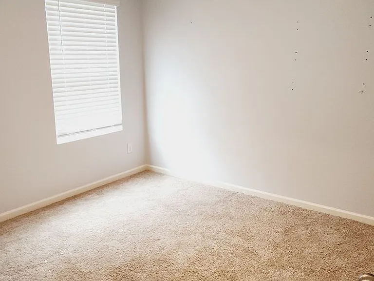 216 Chelsea Park Rd — Photo 13