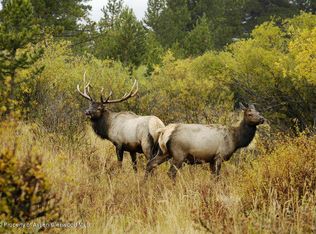 312 Tbd County Rd, New Castle, CO 81647