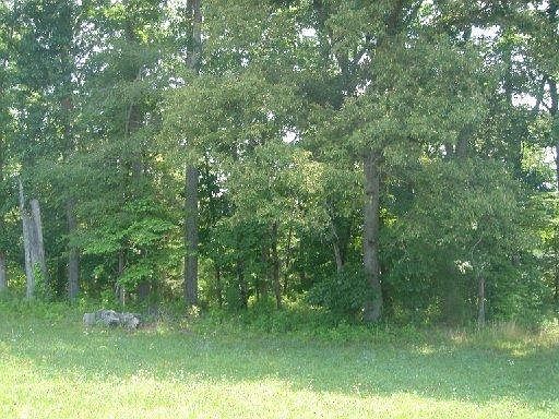 2nd image of 2612 Creekstone Cir