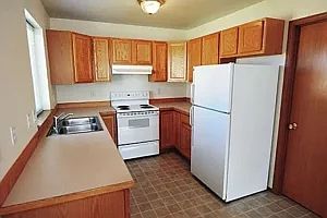 kitchen with stove, refrigerator, and dishwasher