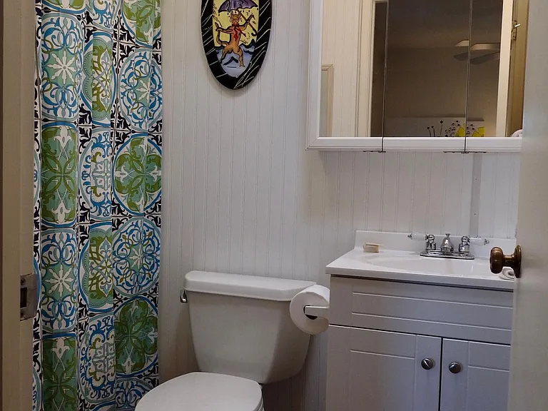 421 N Calle Del Diablo — Photo 8