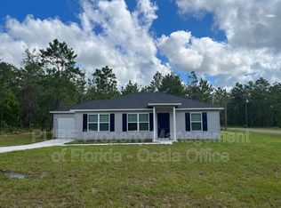 65 Guava Pass Pl, Ocklawaha, FL 32179
