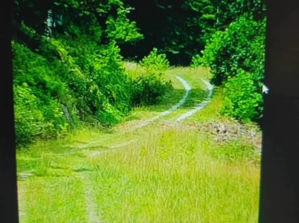 5485 Frogs Creek Rd, Charleston, WV 25312