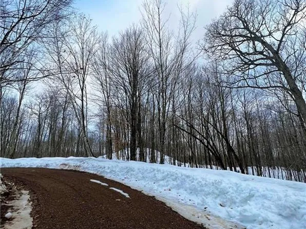 8.6 Acres on Round Lake Rd Road, Bruce, WI 54819