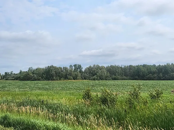 330th Ave NE, Goodridge, MN 56725
