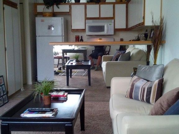 Living room and kitchen