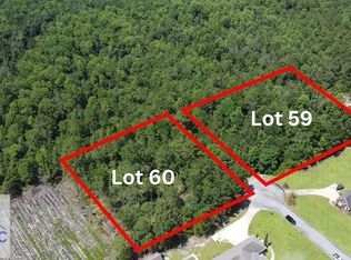 113 Vixenhill Dr, Jesup, GA 31546