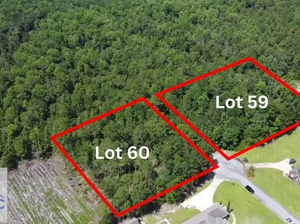 113 Vixenhill Dr, Jesup, GA 31546
