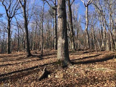130 Squirrels Nest Lot 5060, Jasper, GA, 30143