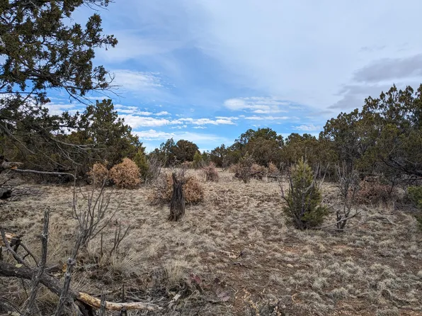 15 Snowy Owl, Stanley, NM 87056