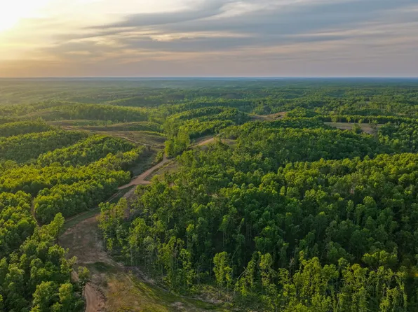 0 Fire Tower Rd Lot 1, Centerville, TN 37033