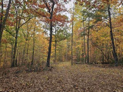 0 Majestic Hts, Sod, WV, 25564