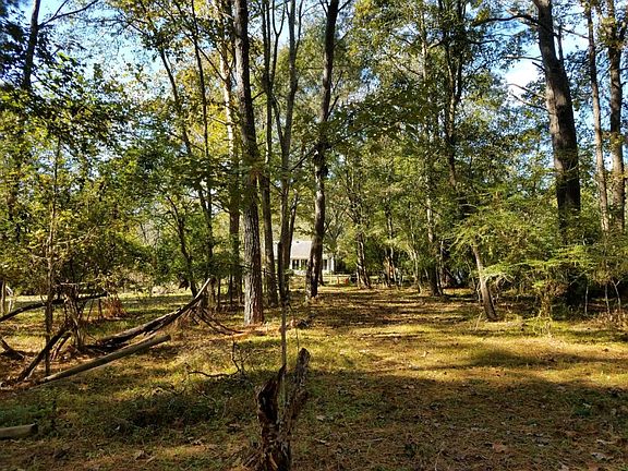 House from the back property line