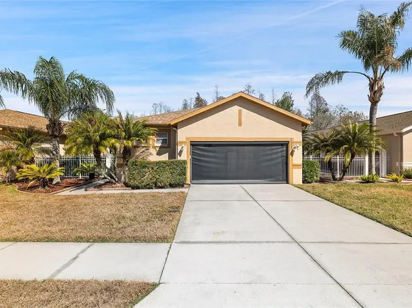 20907 Diamonte Dr, Land O Lakes, FL 34637