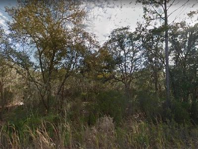0 NE 112th Ter, Fort McCoy, FL, 32134