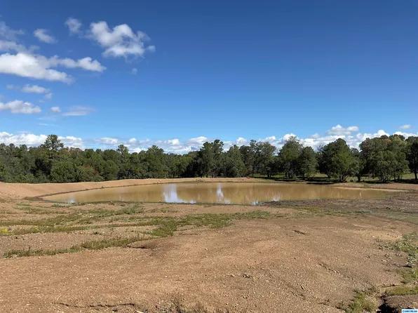 1 Georgetown Rd, Hanover, NM 88041