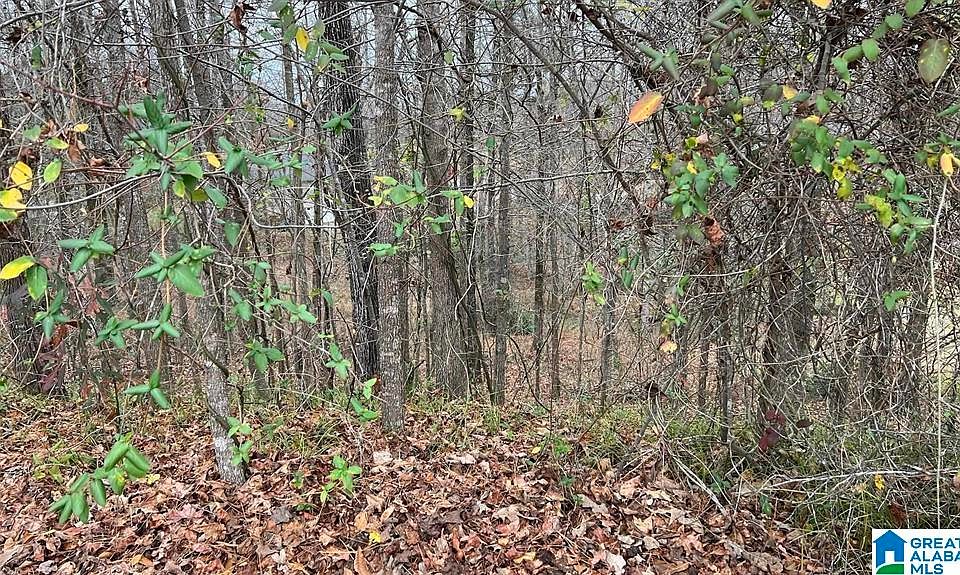 2nd image of 3870 Hardiman Ln #0