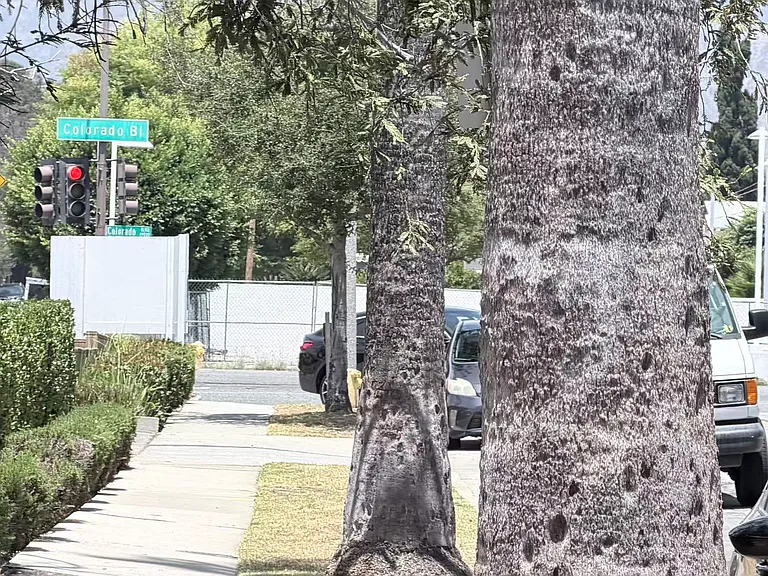 Less than 1 minute walk to Colorado BLVD