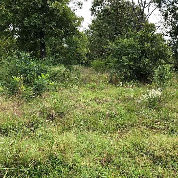 2nd image of 194 Billy Goat Mountain Rd