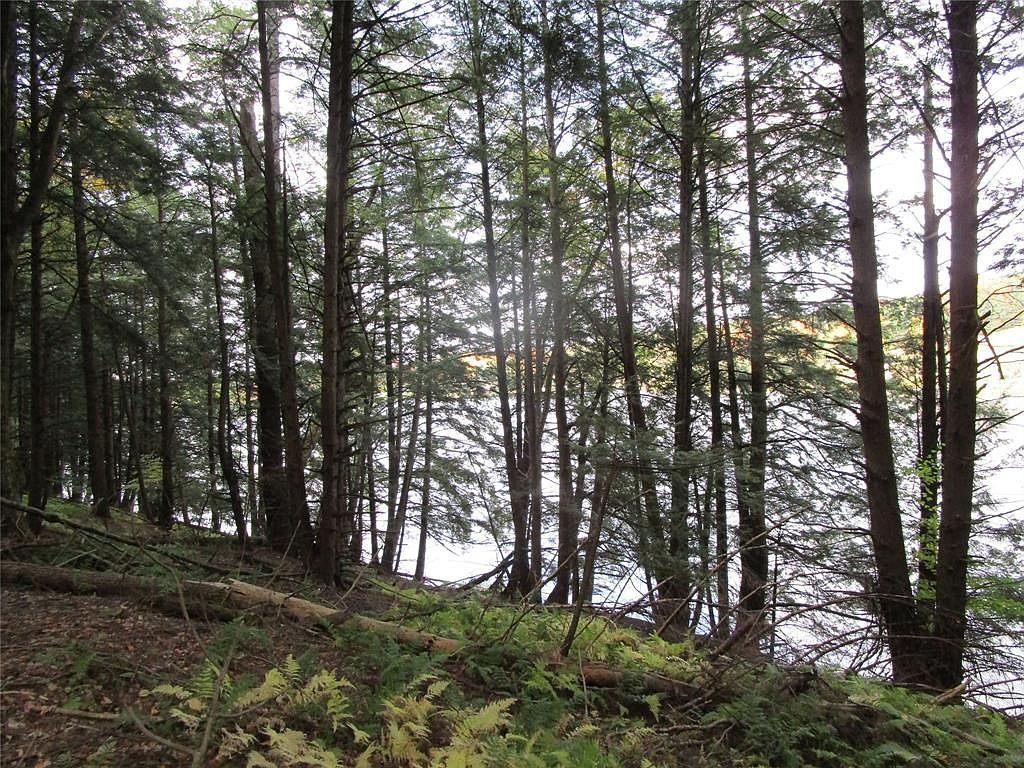 1094 Driftwood Dr, Willet, NY 13863 Zillow