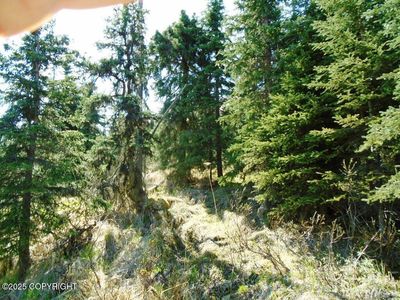 L3 W River Dr, Eagle River, AK, 99577