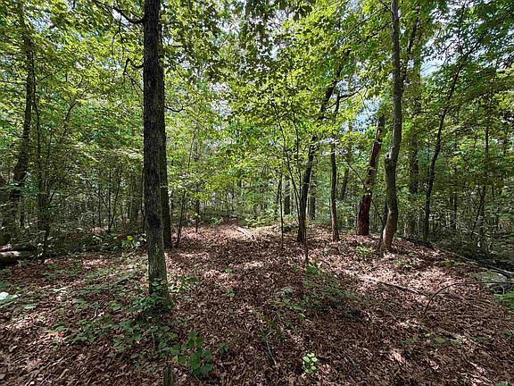 5th image of 1200 Bear Mountain Rd